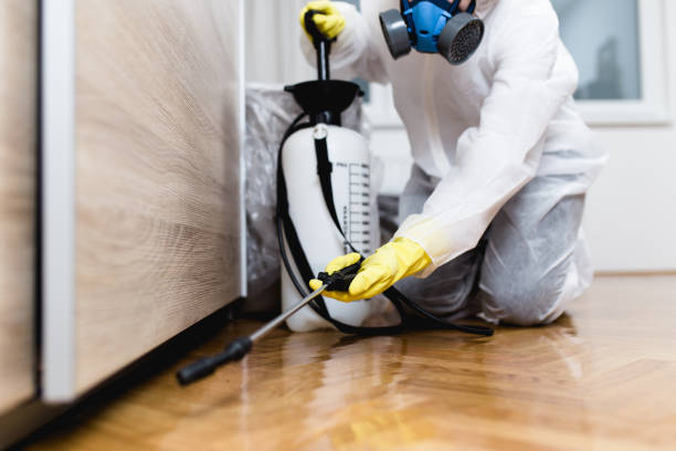 Best Rat Extermination Near Me  in Zephyrhills West, FL
