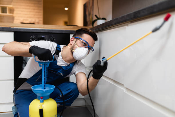 Best Termite Control Services  in Zephyrhills West, FL
