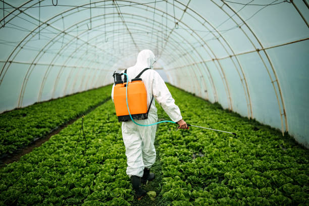 Best Best Pest Control Companies  in Zephyrhills West, FL