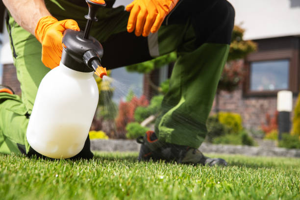 Best Bird Control  in Zephyrhills West, FL