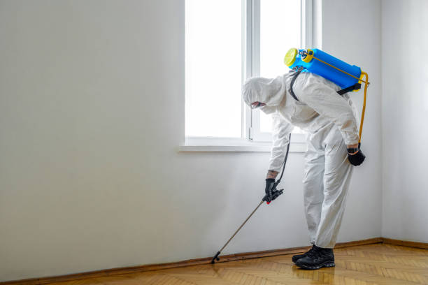 Best Pest Control Near Me  in Zephyrhills West, FL